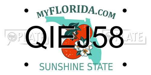 QIEJ58 Florida License Plate