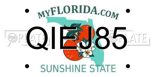 QIEJ85 Florida License Plate