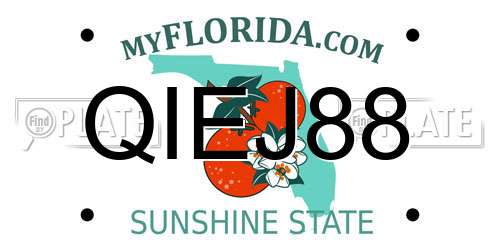 QIEJ88 Florida License Plate