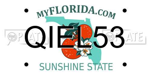 QIEL53 Florida License Plate