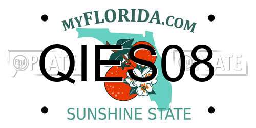 QIES08 Florida License Plate