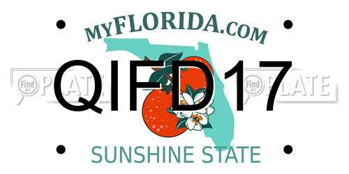 QIFD17 Florida License Plate