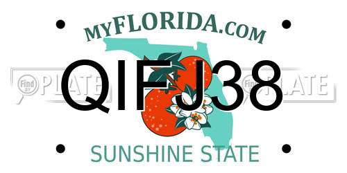 QIFJ38 Florida License Plate