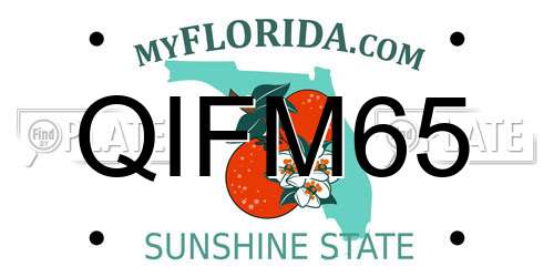 QIFM65 Florida License Plate