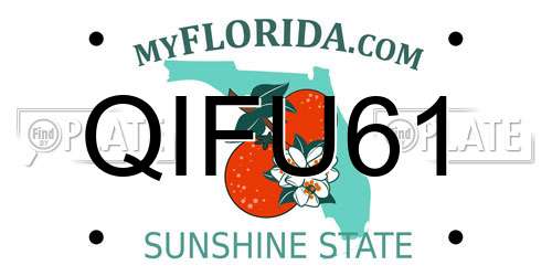QIFU61 Florida License Plate