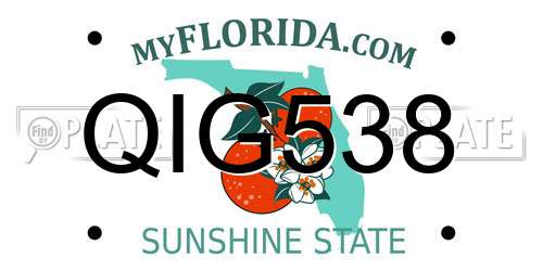 QIG538 Florida License Plate