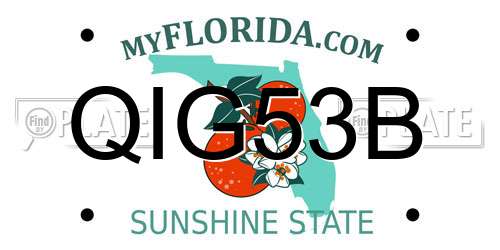 QIG53B Florida License Plate