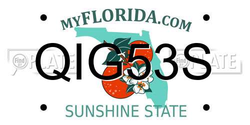 QIG53S Florida License Plate
