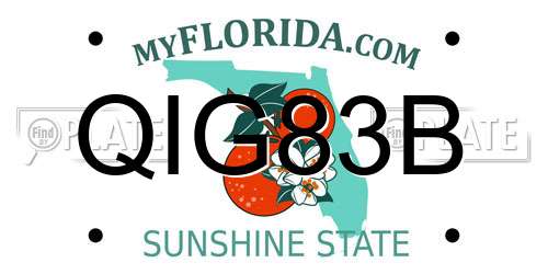 QIG83B Florida License Plate