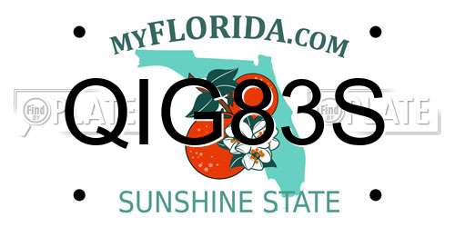 QIG83S Florida License Plate