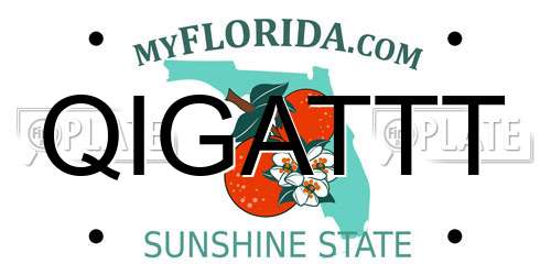 QIGATTT Florida License Plate