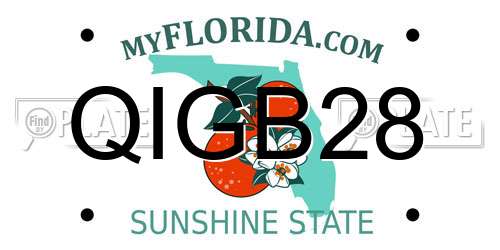QIGB28 Florida License Plate