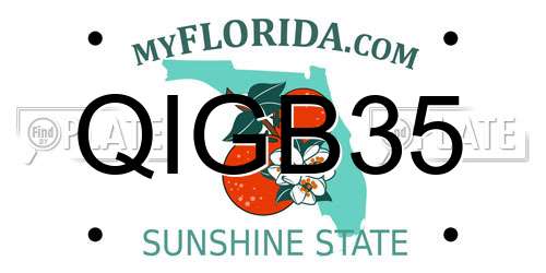 QIGB35 Florida License Plate
