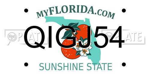 QIGJ54 Florida License Plate