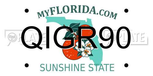 QIGR90 Florida License Plate