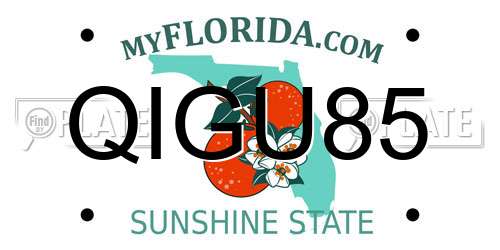 QIGU85 Florida License Plate