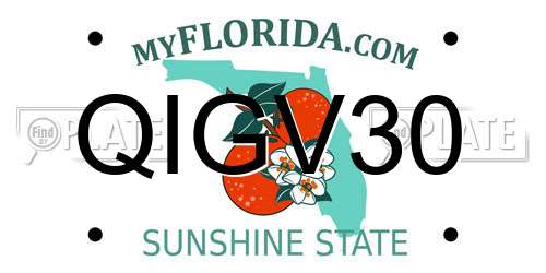 QIGV30 Florida License Plate