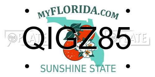 QIGZ85 Florida License Plate