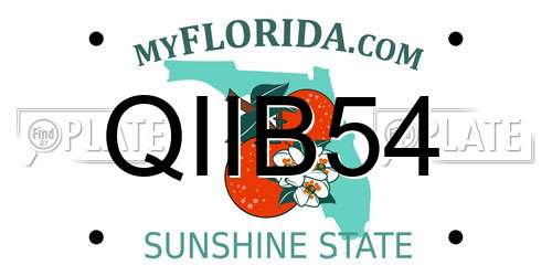 QIIB54 Florida License Plate