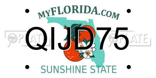 QIJD75 Florida License Plate
