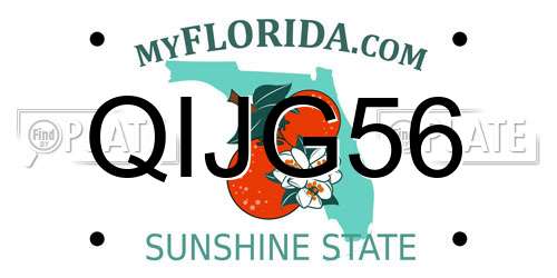 QIJG56 Florida License Plate