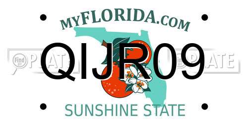 QIJR09 Florida License Plate