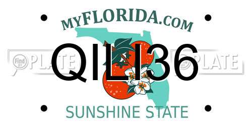 QILI36 Florida License Plate