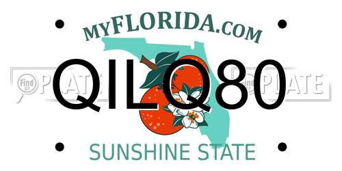 QILQ80 Florida License Plate