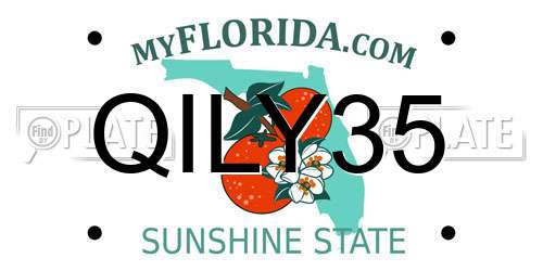 QILY35 Florida License Plate