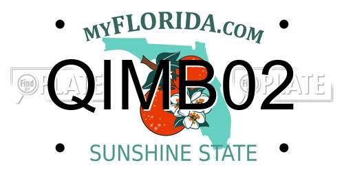 QIMB02 Florida License Plate