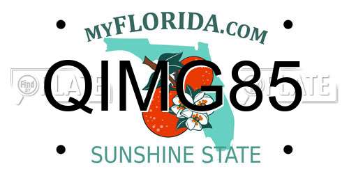 QIMG85 Florida License Plate