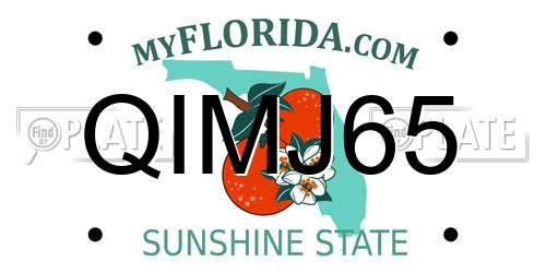 QIMJ65 Florida License Plate