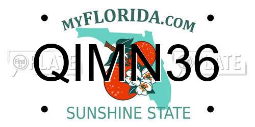 QIMN36 Florida License Plate