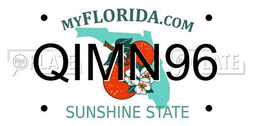 QIMN96 Florida License Plate