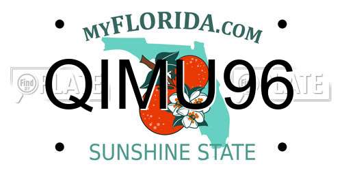 QIMU96 Florida License Plate