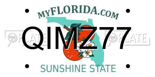 QIMZ77 Florida License Plate