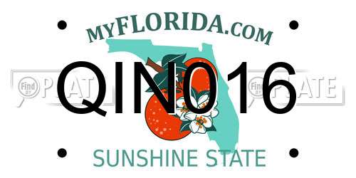 QIN016 Florida License Plate