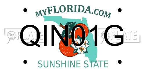 QIN01G Florida License Plate