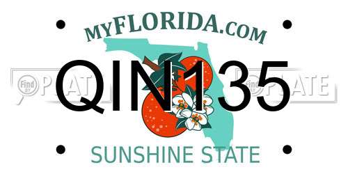 QIN135 Florida License Plate