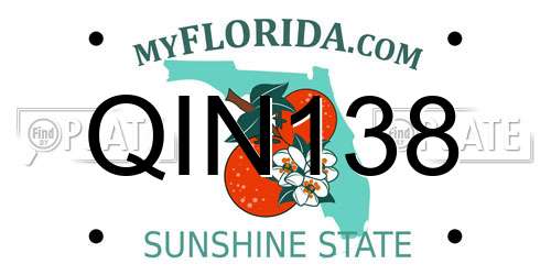 QIN138 Florida License Plate