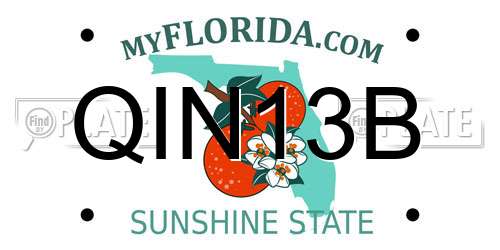 QIN13B Florida License Plate