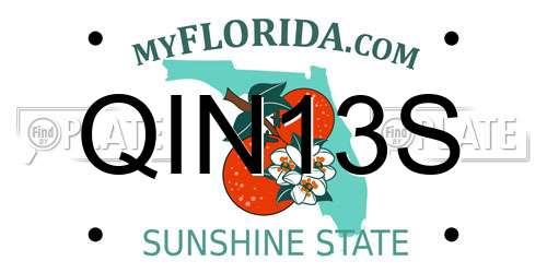 QIN13S Florida License Plate