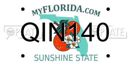 QIN140 Florida License Plate