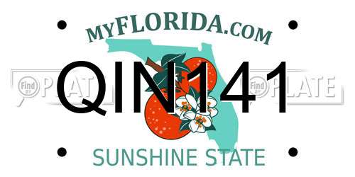 QIN141 Florida License Plate