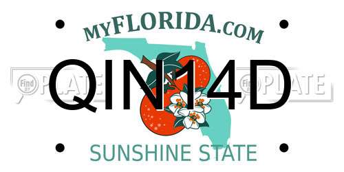 QIN14D Florida License Plate
