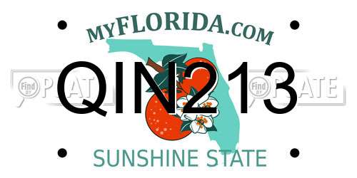 QIN213 Florida License Plate