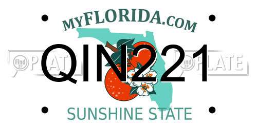 QIN221 Florida License Plate