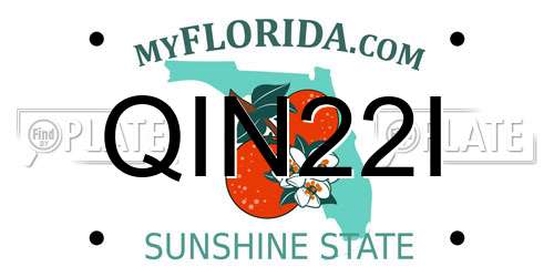 QIN22I Florida License Plate