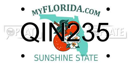 QIN235 Florida License Plate