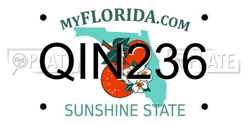 QIN236 Florida License Plate